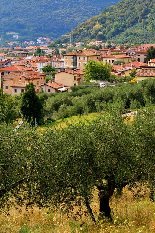 Hotel Miramonti Enoteca 포브델그라파 외부 사진